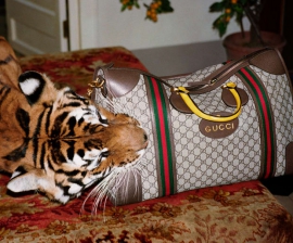 Gucci`s new campaign features the tiger