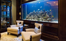 5 Things to Know Before Installing an Aquarium