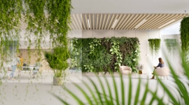 Title: Embracing Sustainability: A Path for Interior Design
