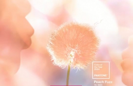 Pantone names ‘Peach Fuzz’ Colour of the Year 2024